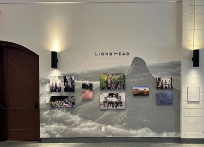 Window & Wall Graphics Photo